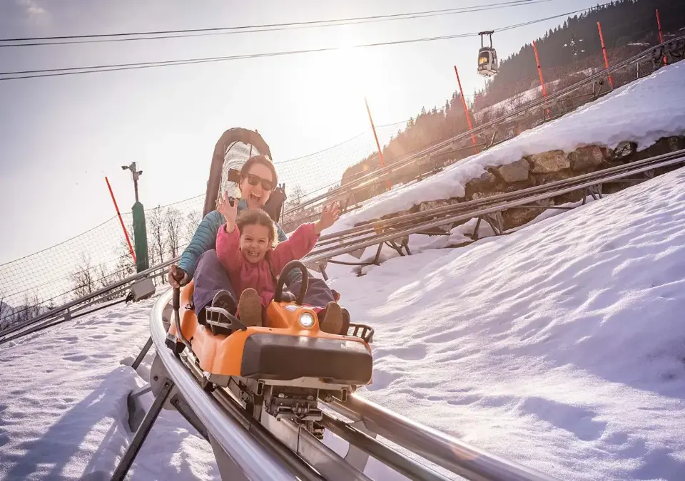 Megeve luge mountain coaster.webp