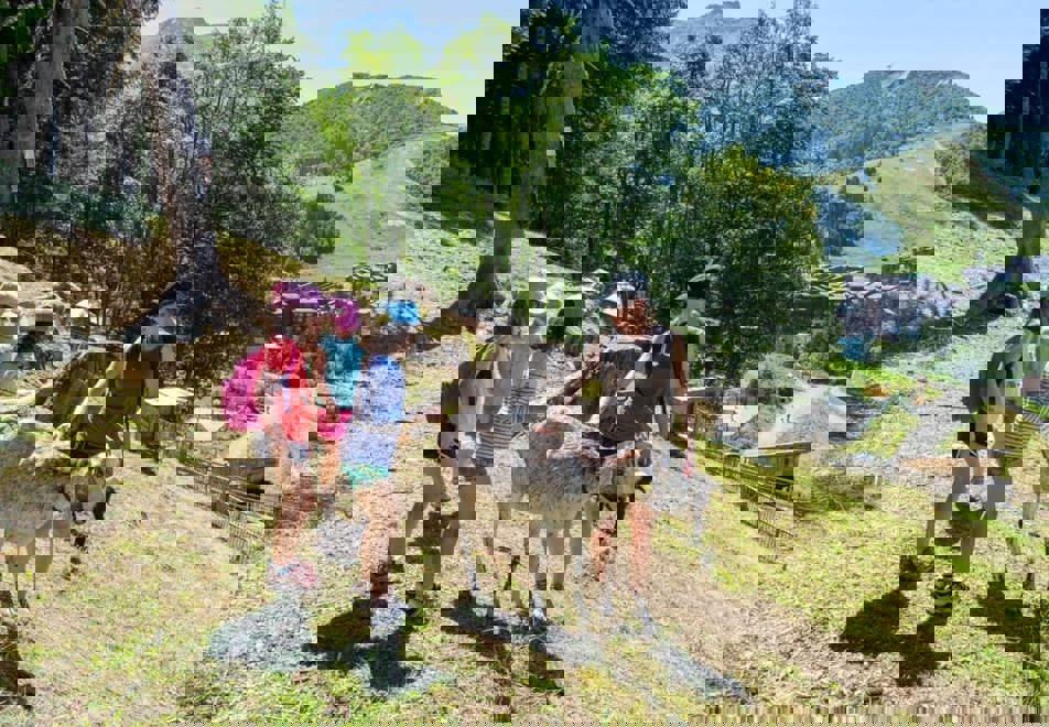 Valmorel walking with animals