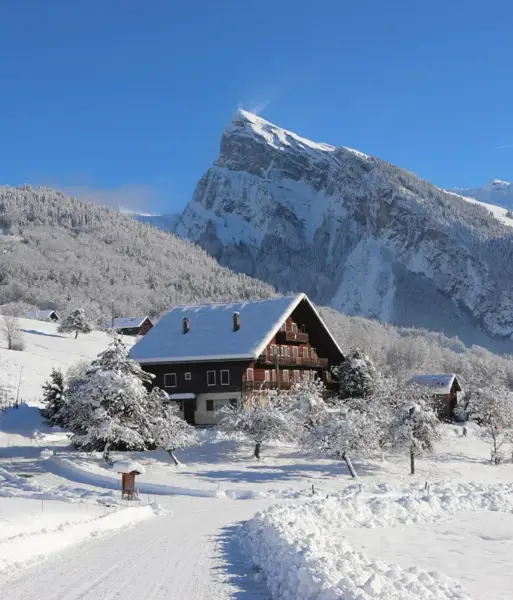 Samoens-Grand Massif-Criou Peak.webp