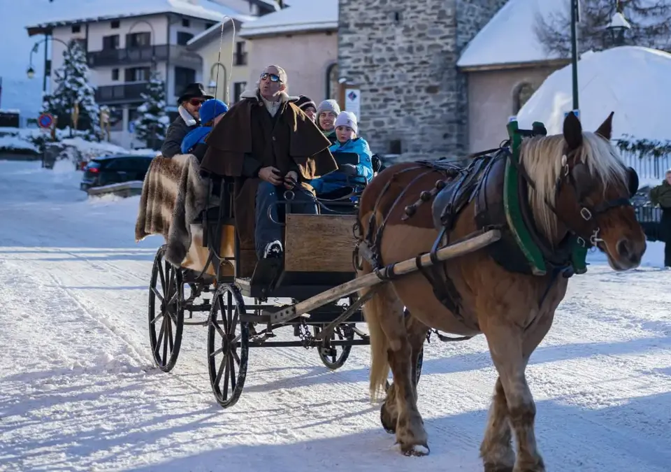 St Martin de Belleville horse drawn sled.webp