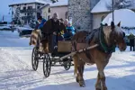 St Martin de Belleville horse drawn sled.webp