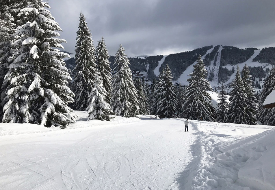 Hameau du Beaufortain, Les Saisies (self catered apartments) - Doorstep skiing