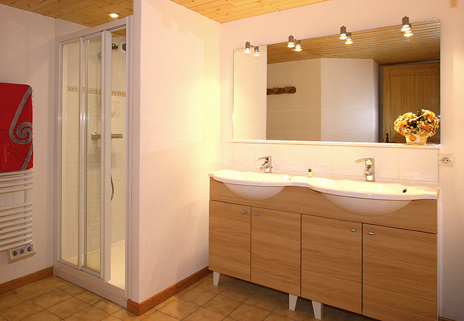 Jon, Les 2 Alpes (self catered chalet) - Shower room