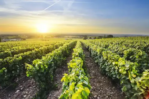 F647f64e63e2fdcb498cf76ee4844af135c89a75