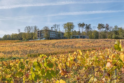 LOISIUM Setting Amongst Vineyards (C)LOISIUM Peak Retreats