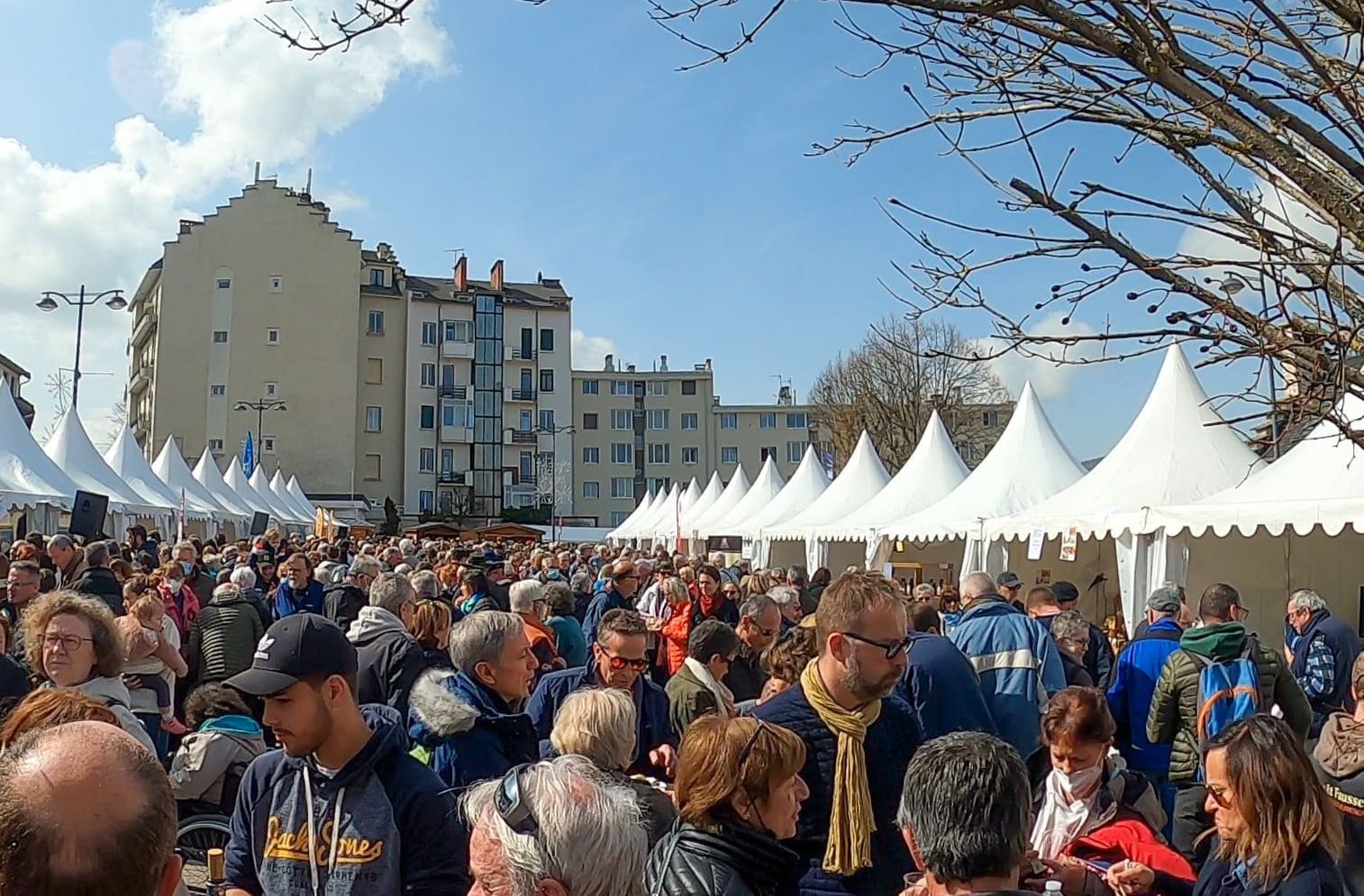 Scallops Festival