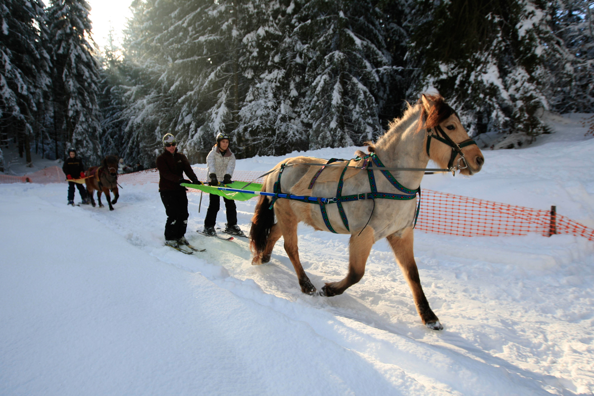 Ski Joering