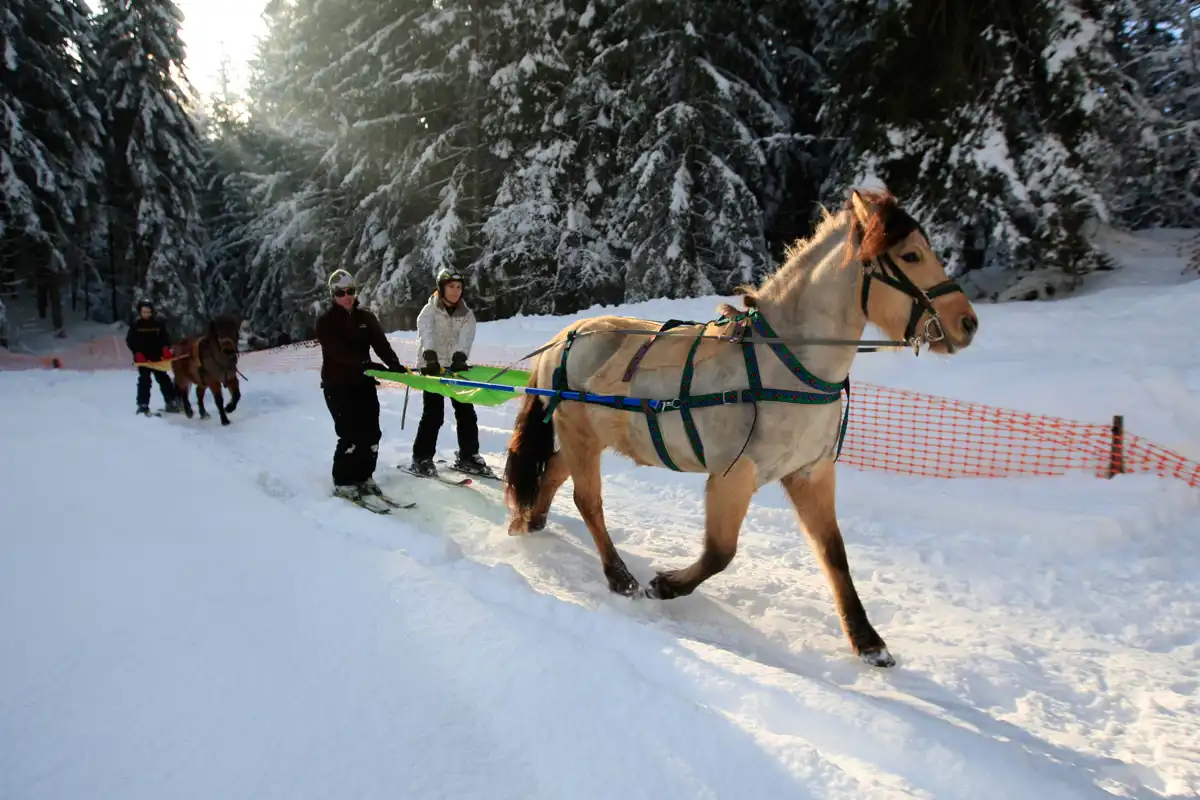 Ski Joering