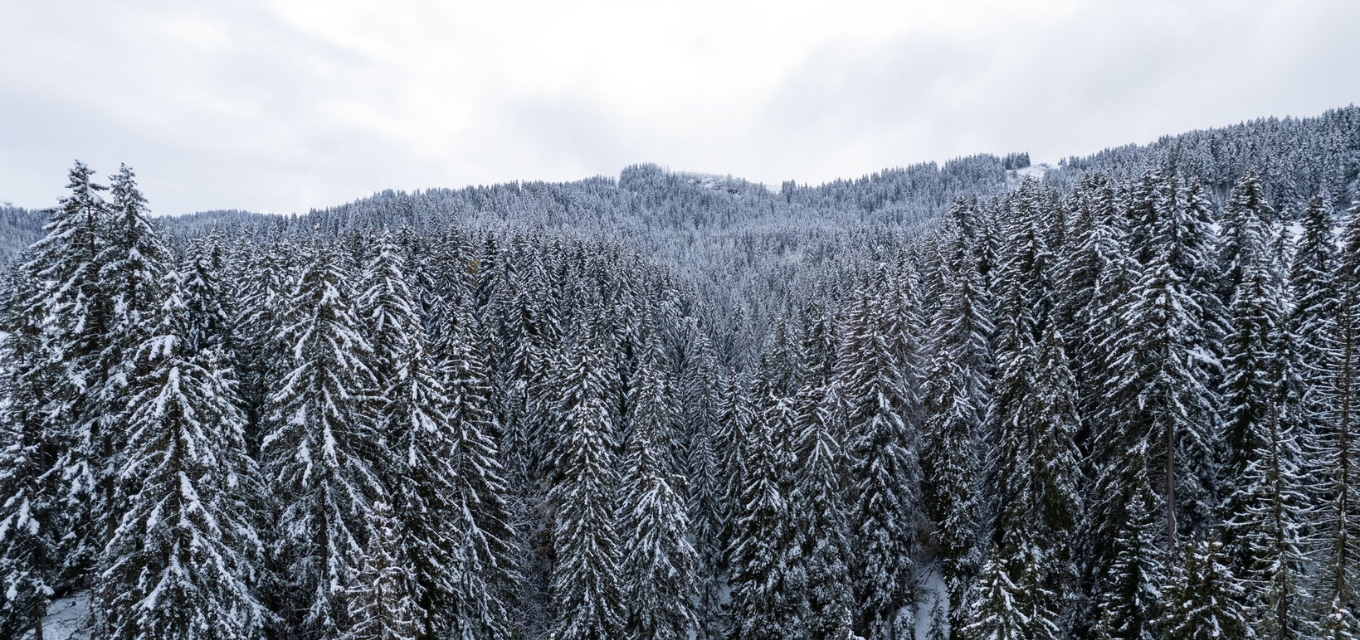 Megeve 12.02.24