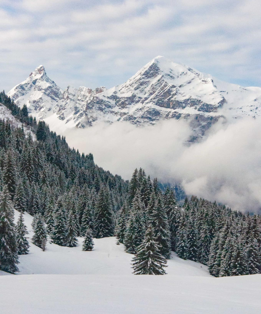 Les Carroz 12.02.24