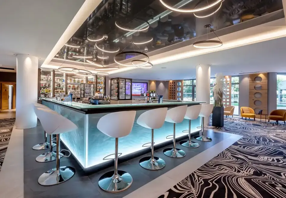 Le Rivage Hotel & Spa, Annecy (hotel) - Bar
