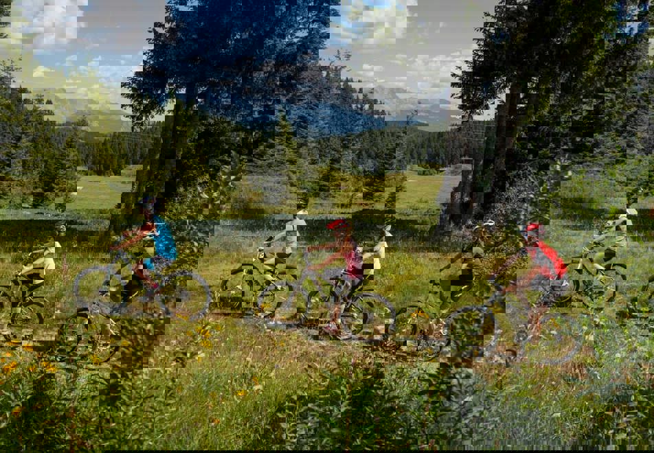 Les Saisies mountain biking