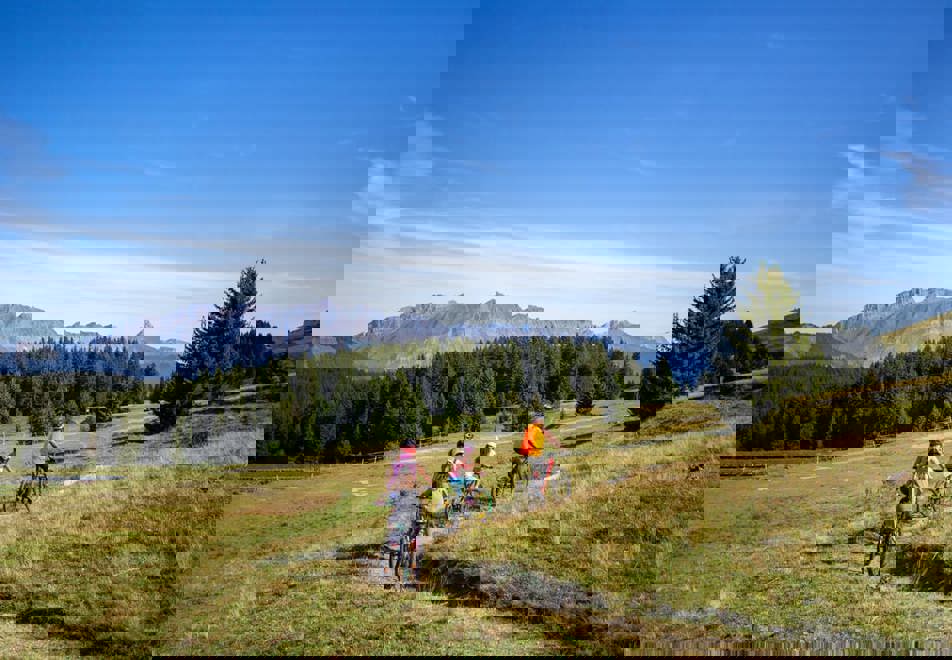 Les Saisies mountain biking
