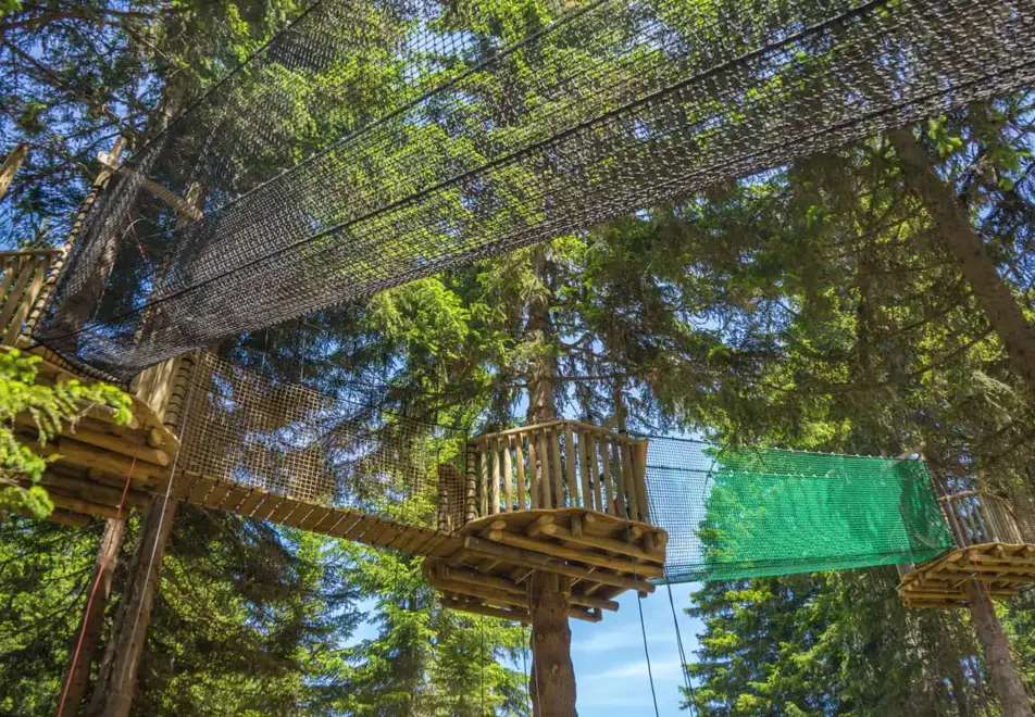 Les Saisies tree top adventures