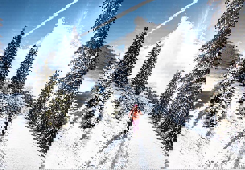 Chatel snowshoes