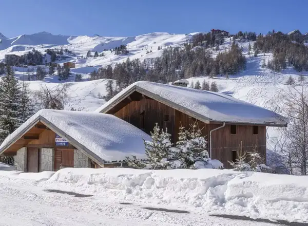 Tmpa883 Location Ski Plagne 1800 Chalet Arpette Lodge 1 (1)