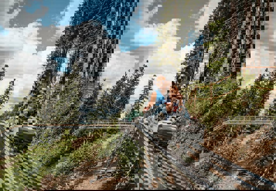 Les Gets - Mountain coaster