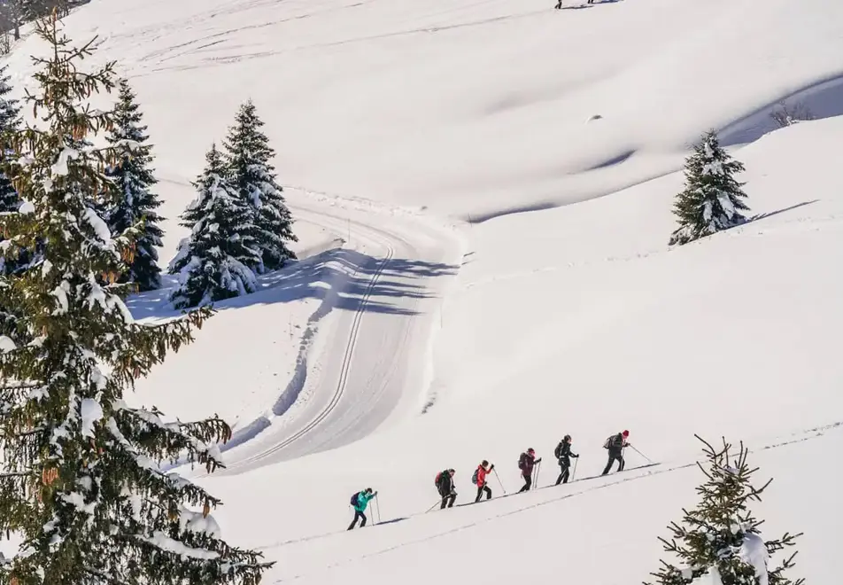 Les Gets - Ski touring
