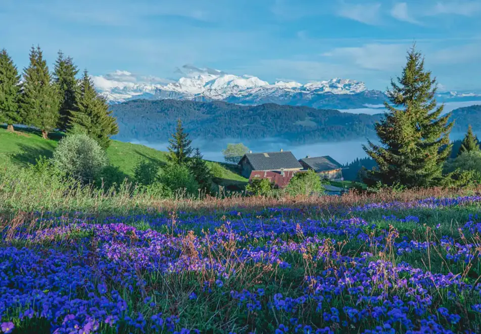 Les Gets - Stunning panorama