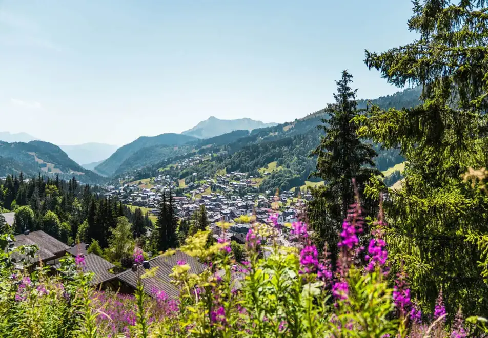 Les Gets - Stunning scenery