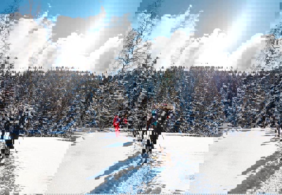 Les Gets - Snowshoeing
