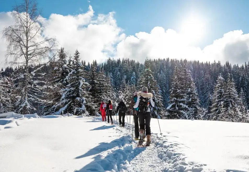 Les Gets - Snowshoeing