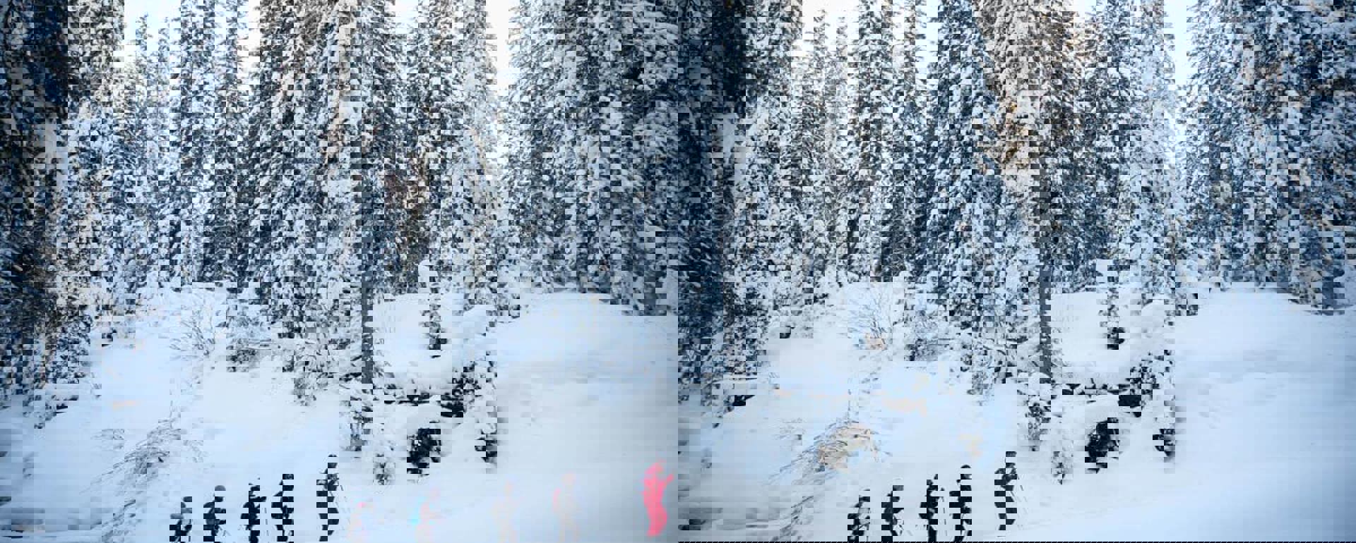 Les Gets - Snowshoeing