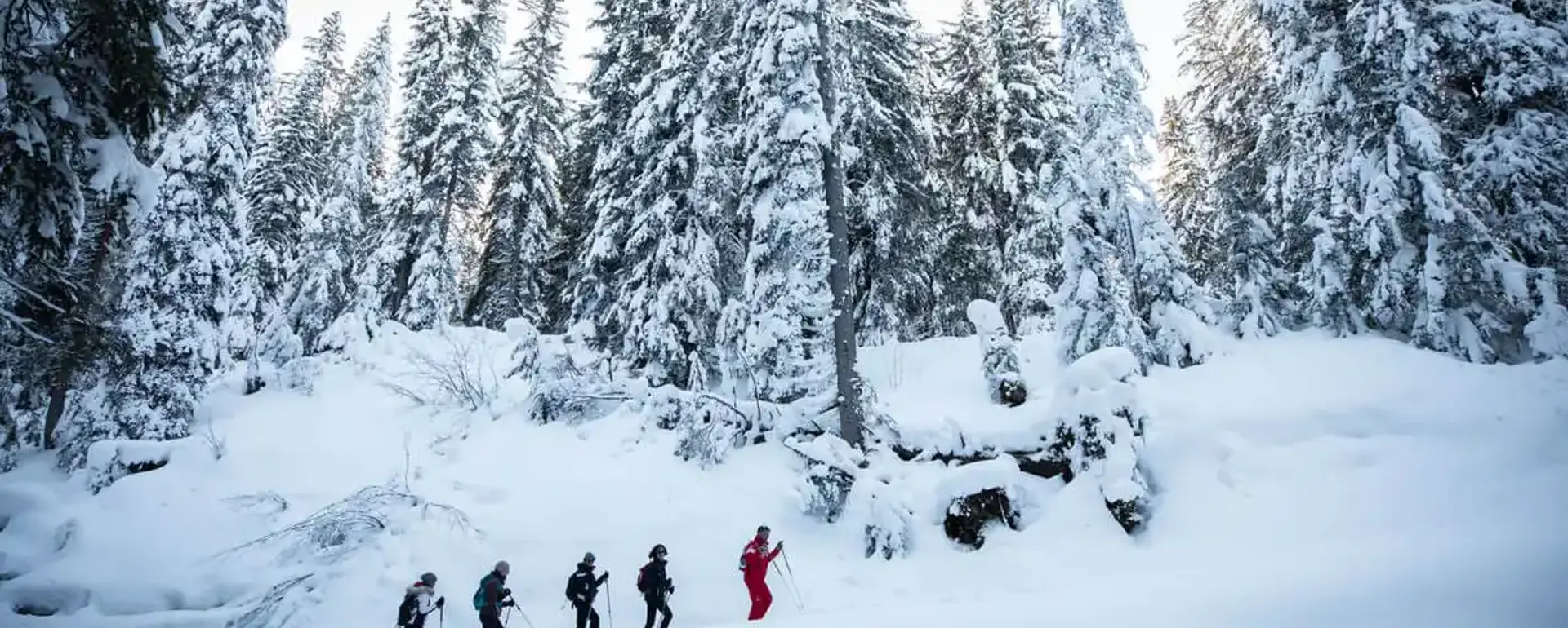 Les Gets - Snowshoeing