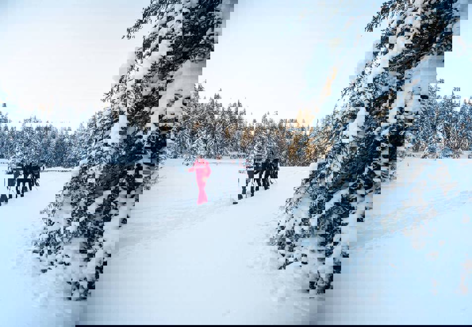Les Gets - Snowshoeing