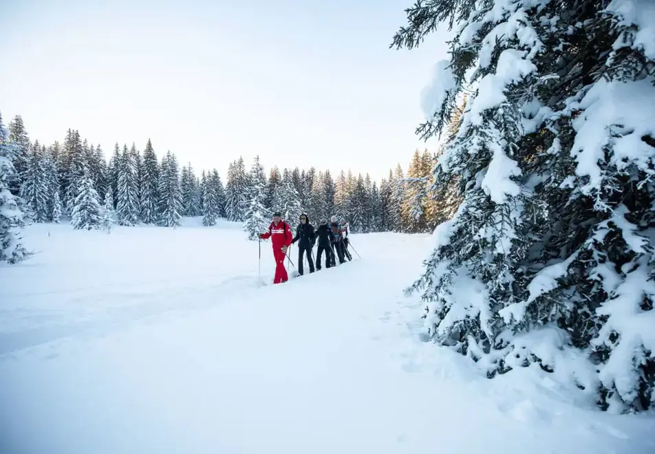 Les Gets - Snowshoeing