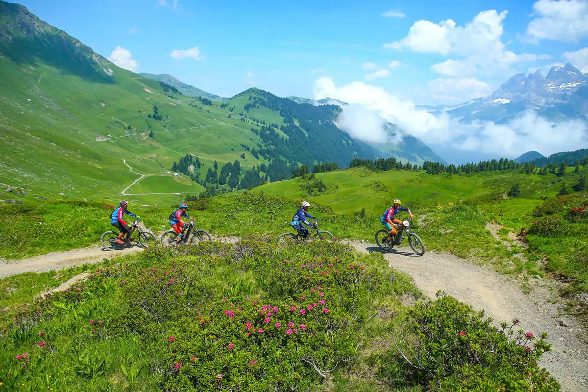 Les Gets - Mountain biking