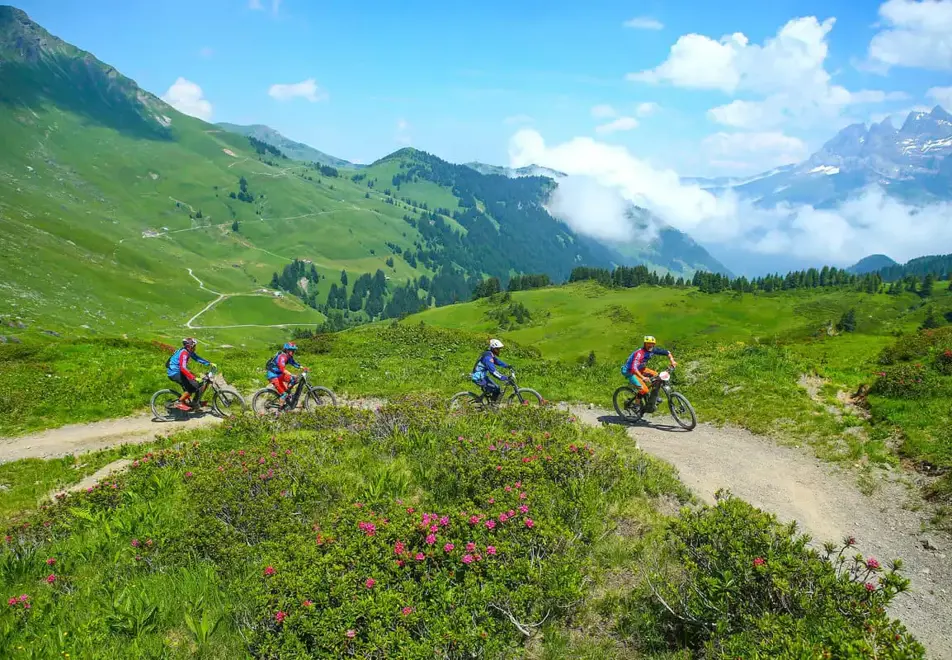 Les Gets - Mountain biking