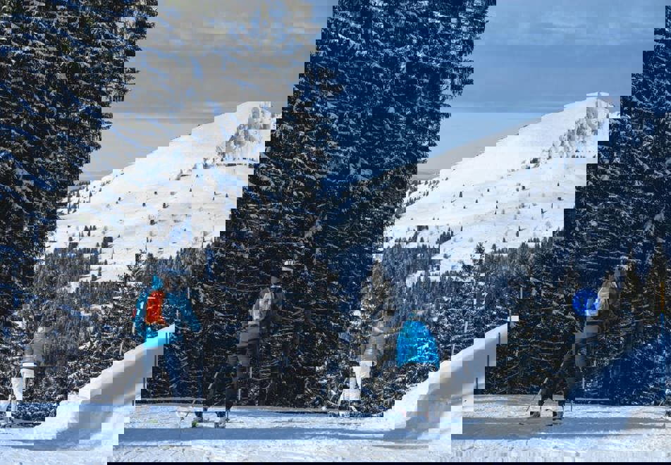 Les Gets - Skiing