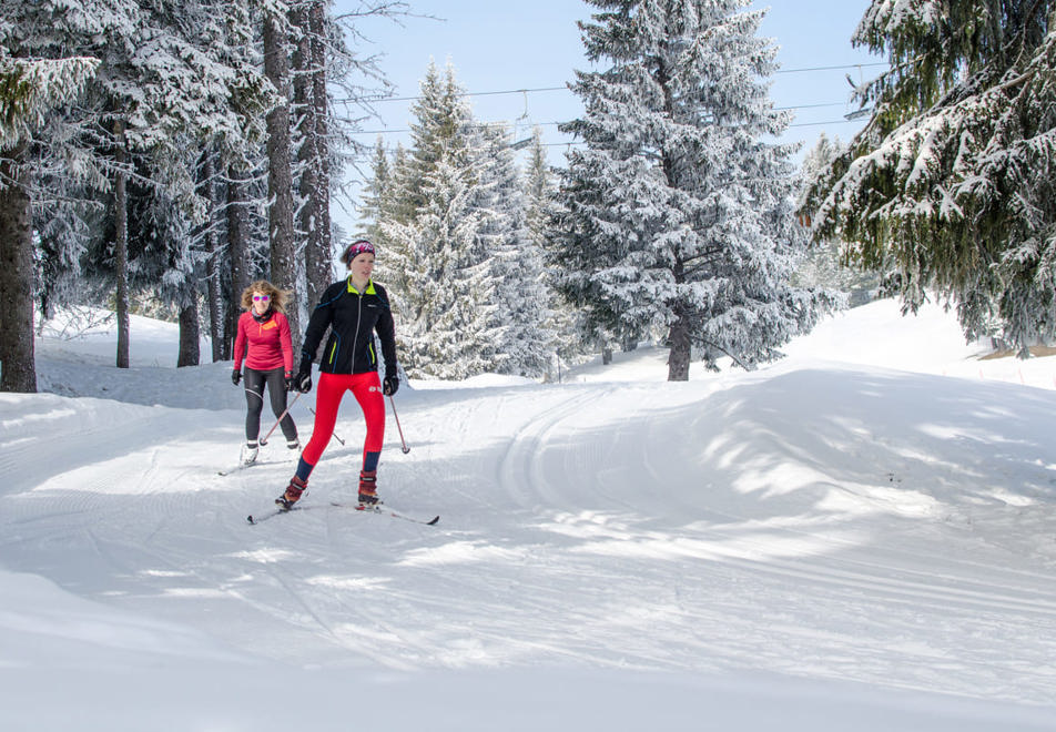 Les Gets - Cross country skiing