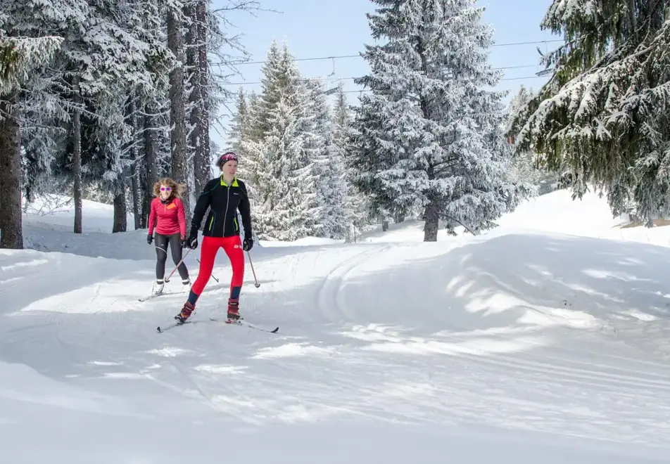 Les Gets - Cross country skiing
