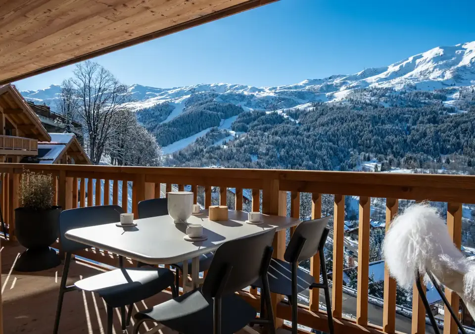 Falcon Meribel Philippe Gal E11 100