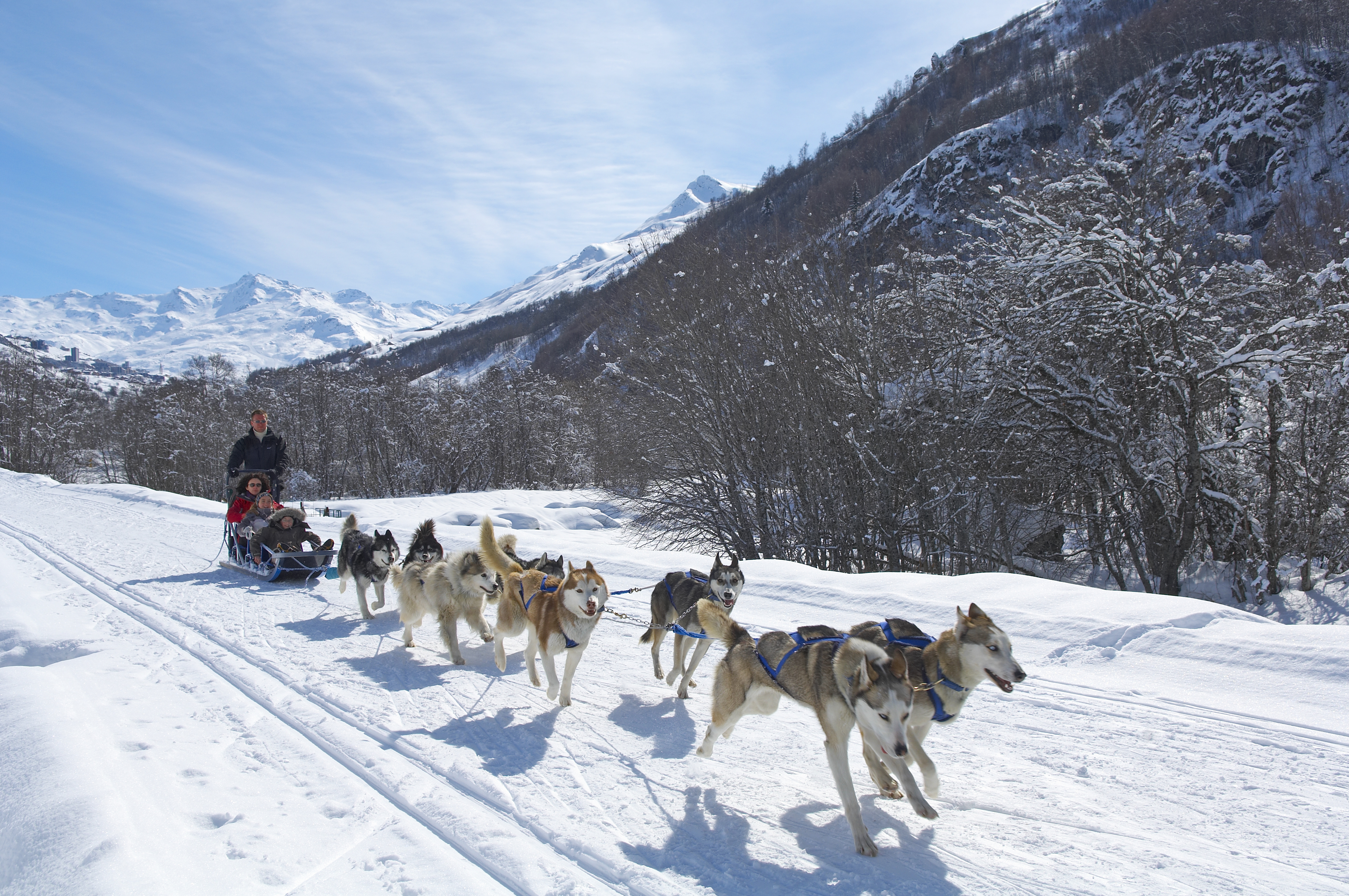 St Martin Ski Resort (©G Lansard) - Dog sledding