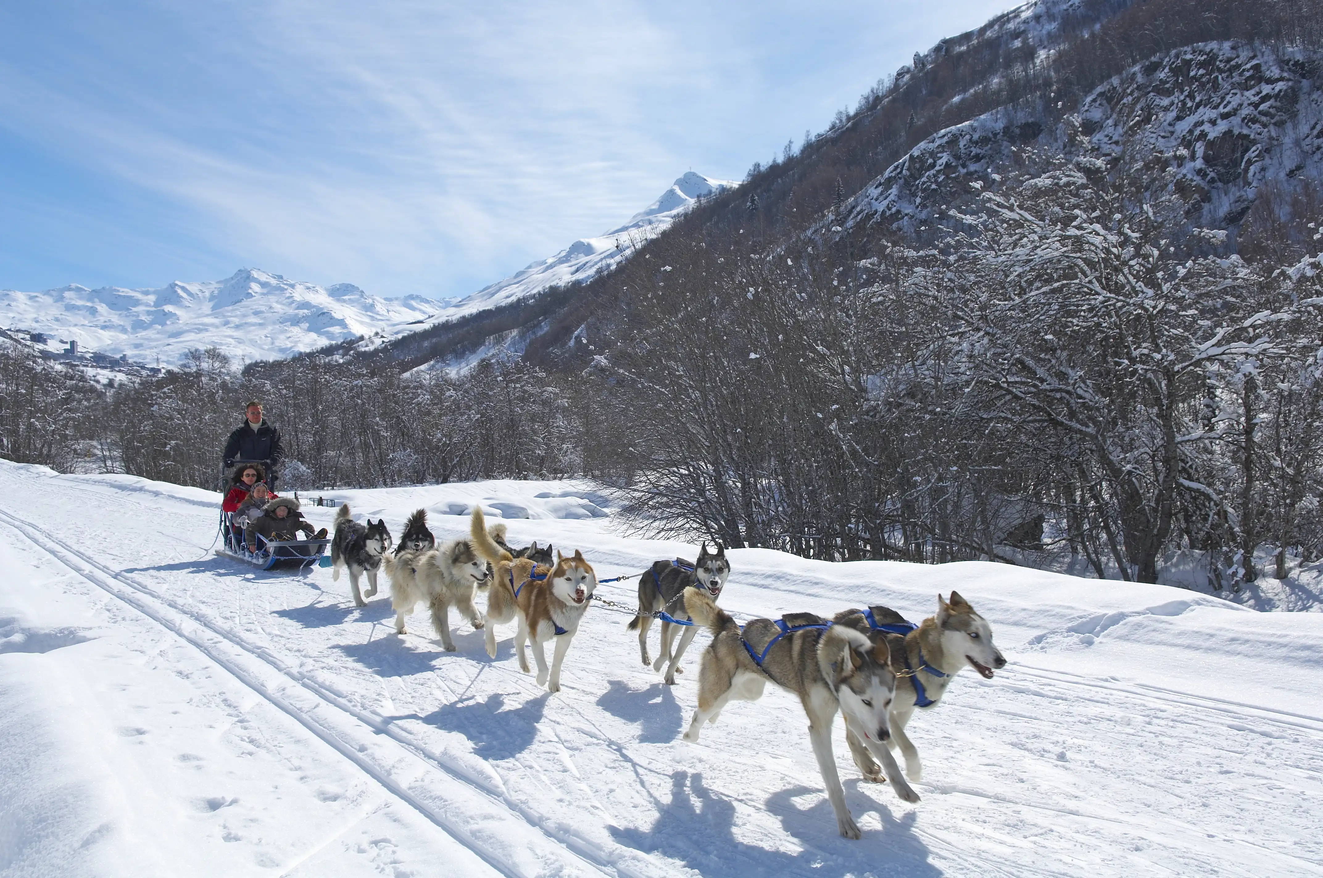 St Martin Ski Resort (©G Lansard) - Dog sledding