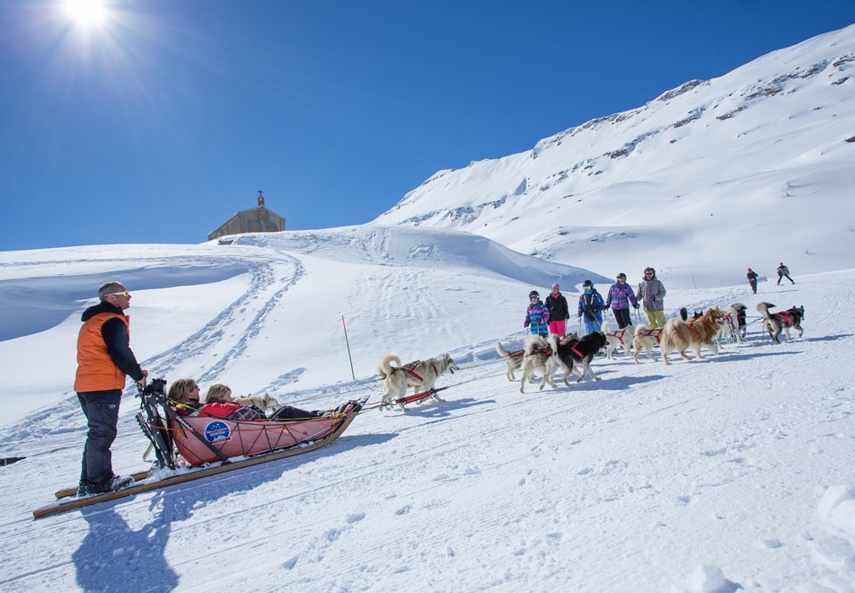 Val Cenis Ski Resort (©DanielDurand) - Dog sledding
