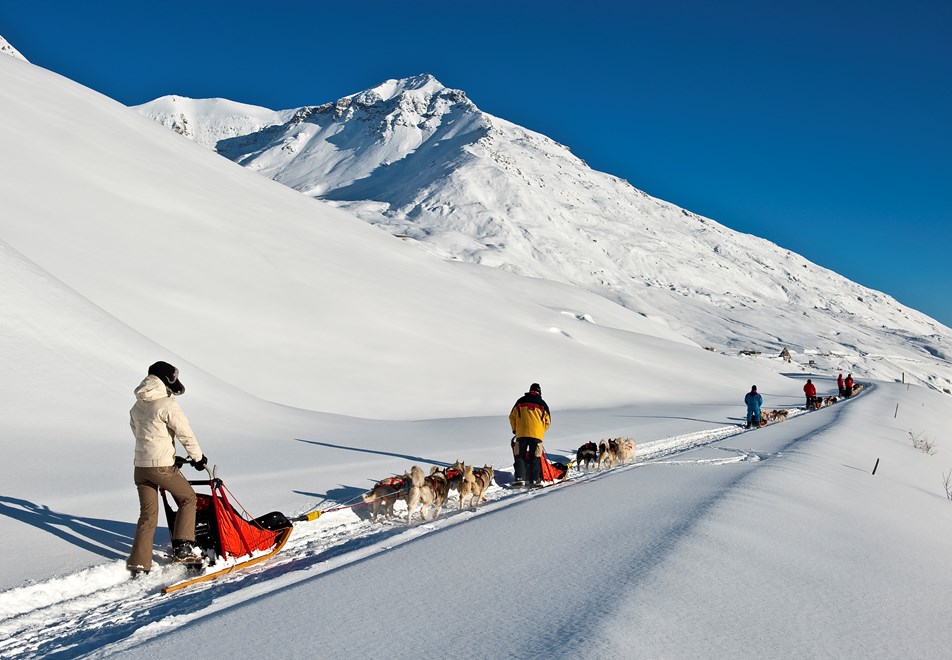 Val Cenis Ski Resort - Dog sledding