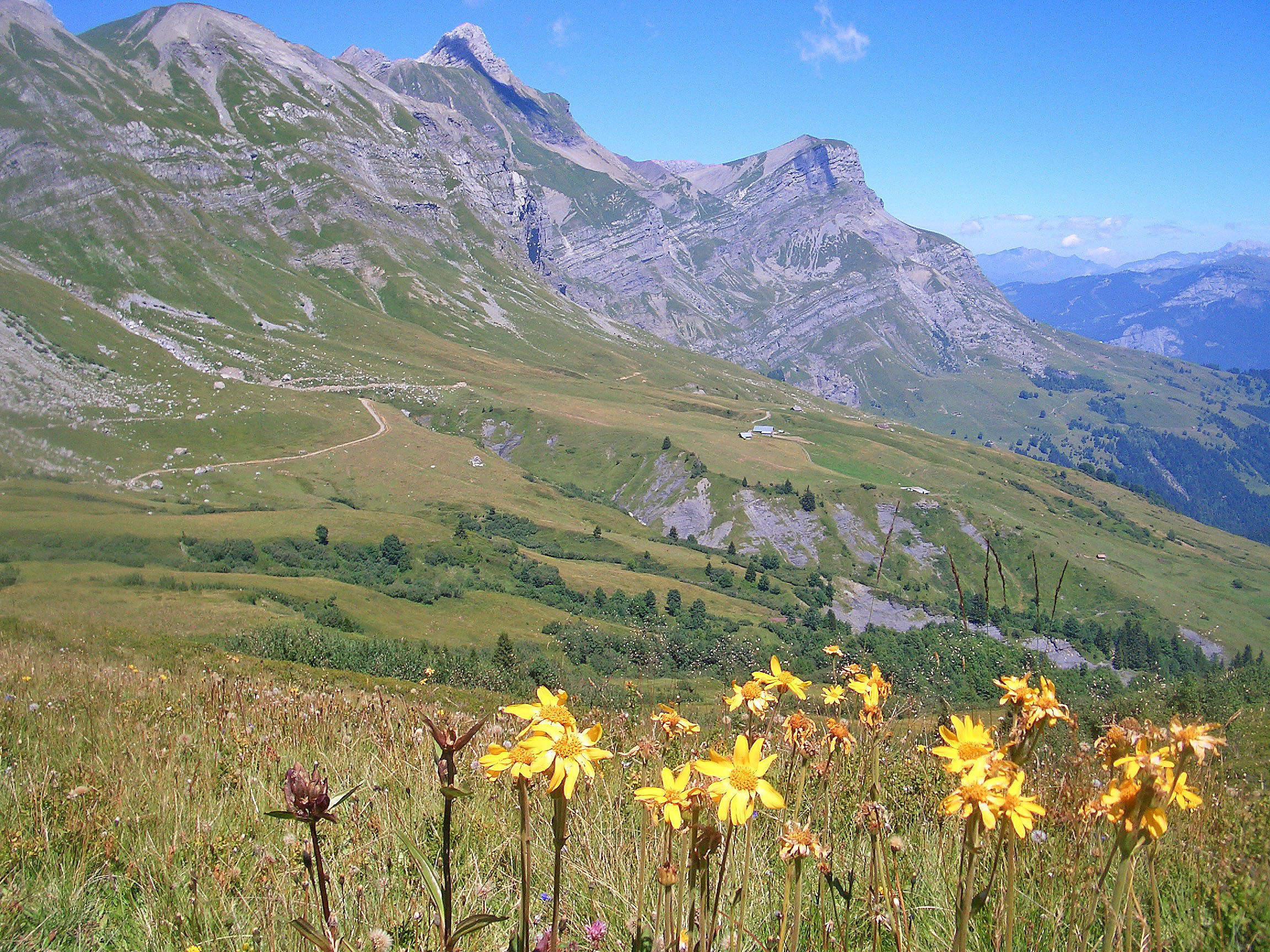 Combloux Summer Holidays Lakes & Mountains Peak Retreats