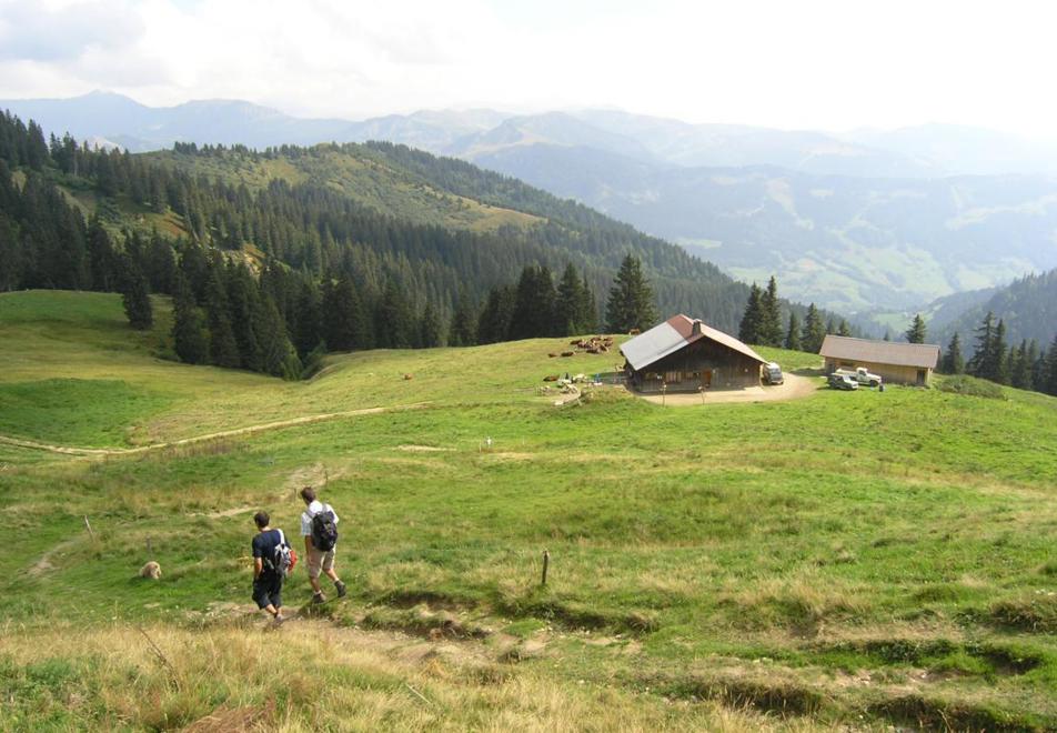 Notre Dame de Bellecombe Mountains