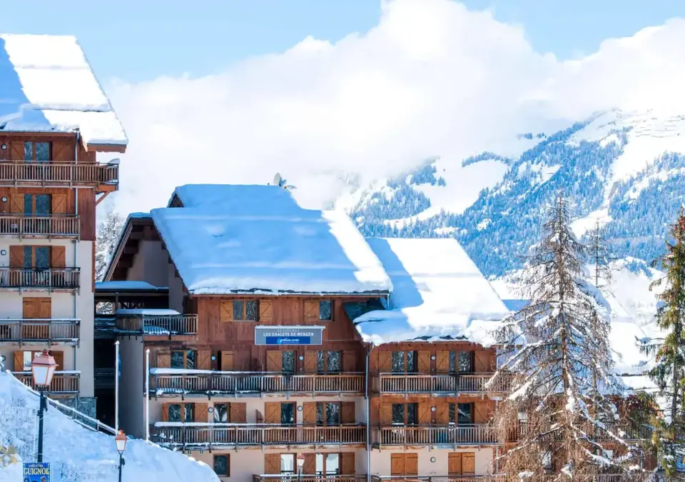 Les Chalets de Wengen-Les Coches (4).webp