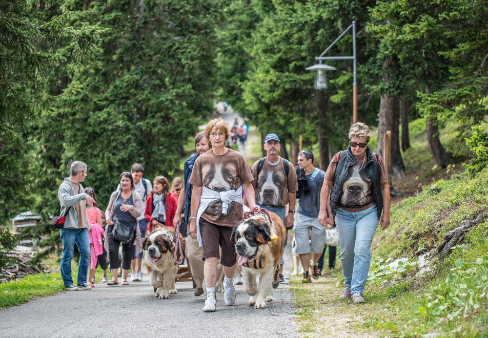 La Rosiere Village (©Propaganda73) - Walking with St Bernards