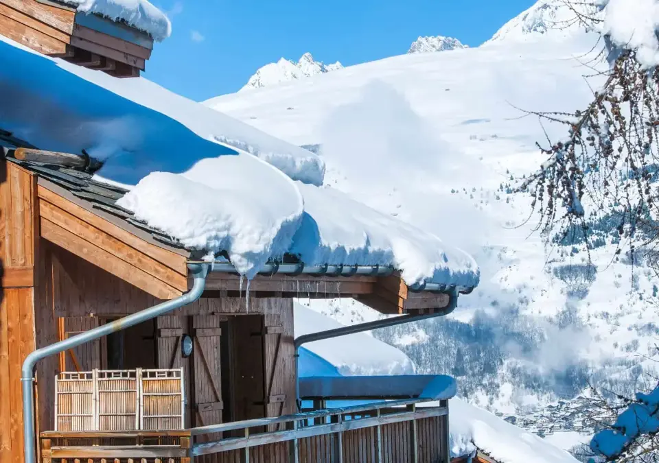 Les Chalets de Wengen-Les Coches (2).webp