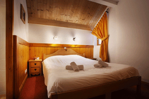 Chalet des Neiges Typical Apartment
