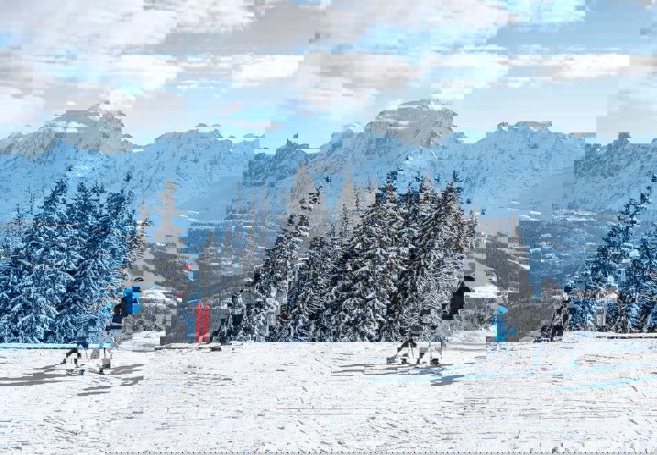 Combloux tree-lined ski slopes (©MarineMartin)