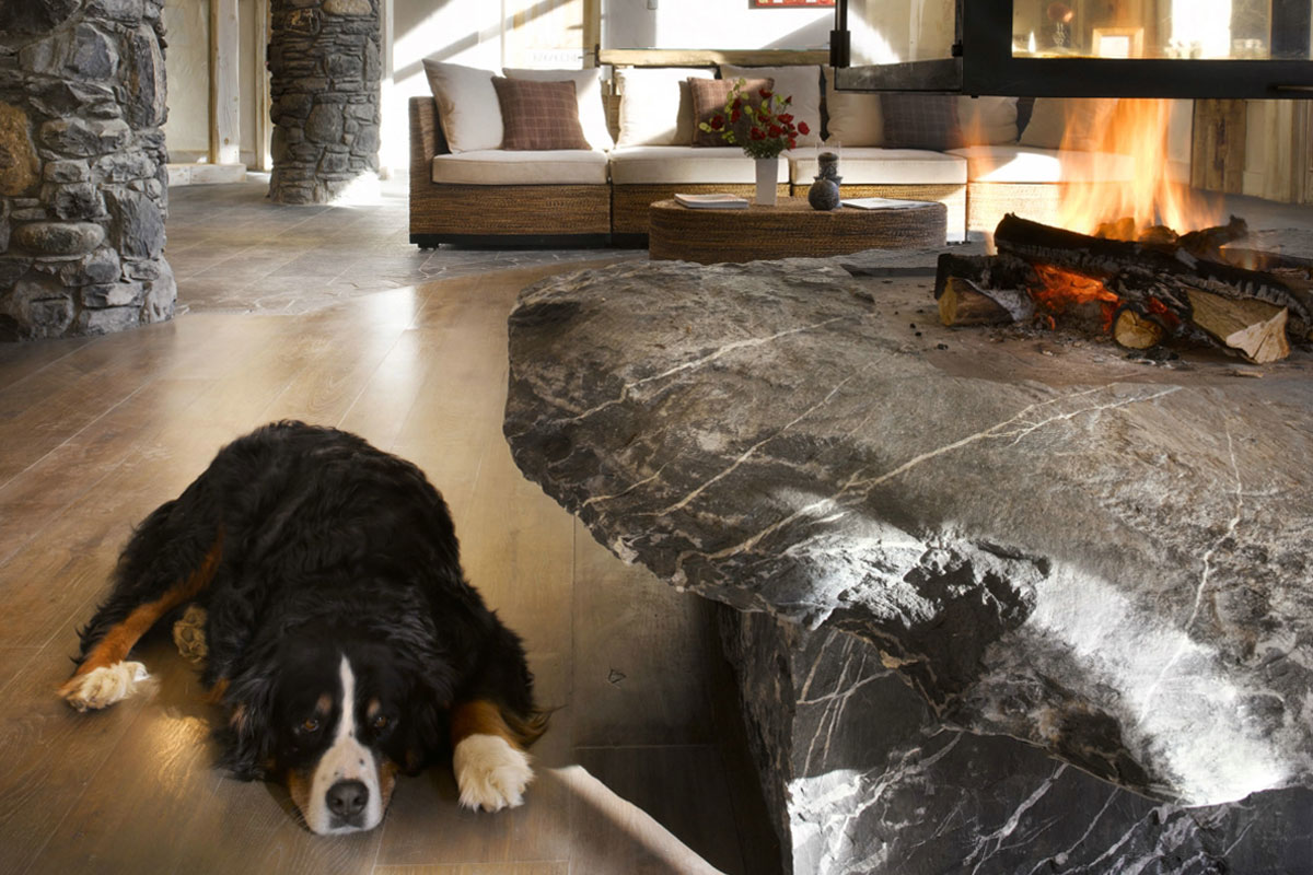 Dog friendly shop ski chalets