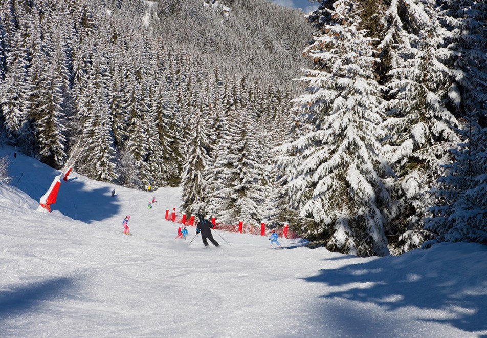 La Tania Ski Slopes © (Robin Garnier)