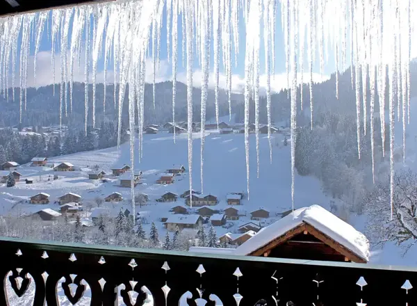 Fleurs (Les Gets) exterior (2) OPT